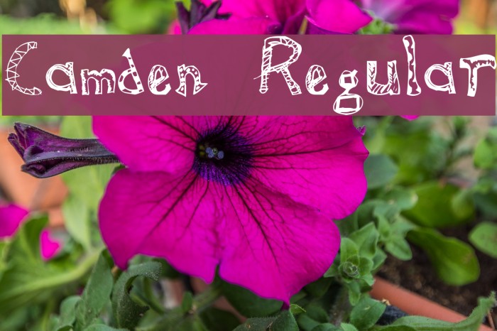 Camden Regular Font examples