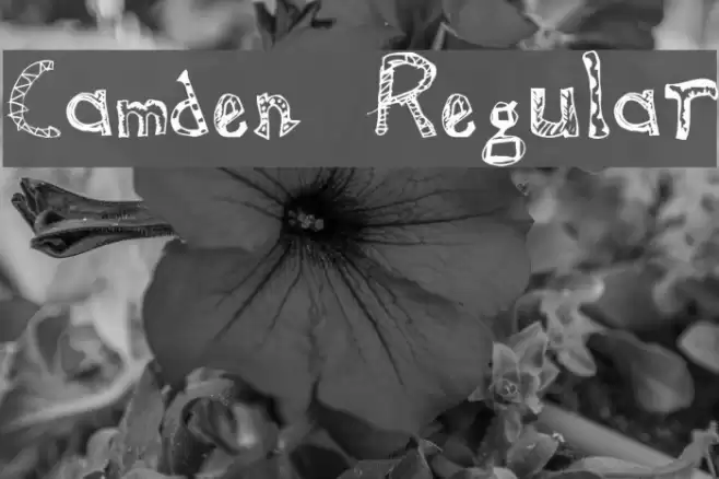 Camden Regular Font examples