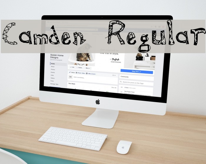 Camden Regular Font examples