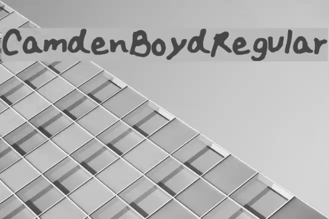 Camden_Boyd_Regular Font examples