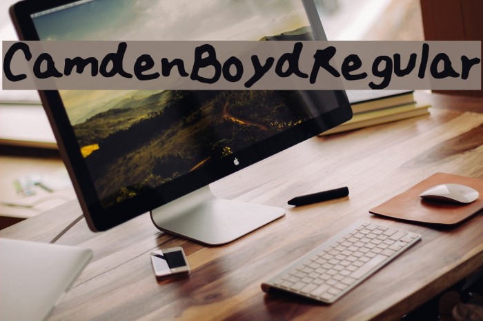 Camden_Boyd_Regular Font examples