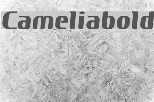 Cameliabold Font examples