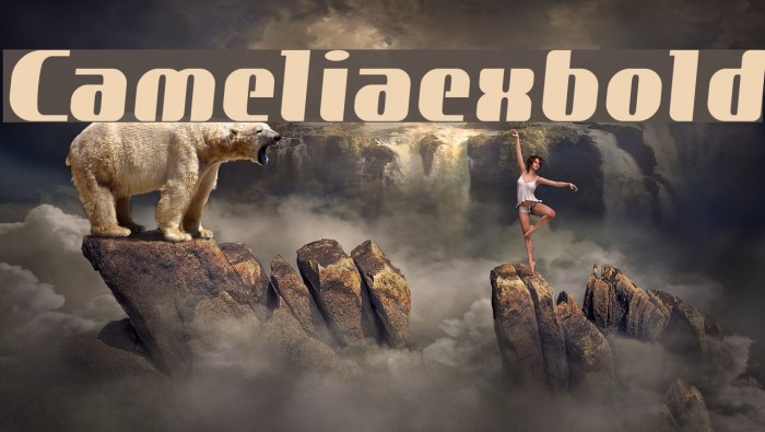 Cameliaexbold Font examples