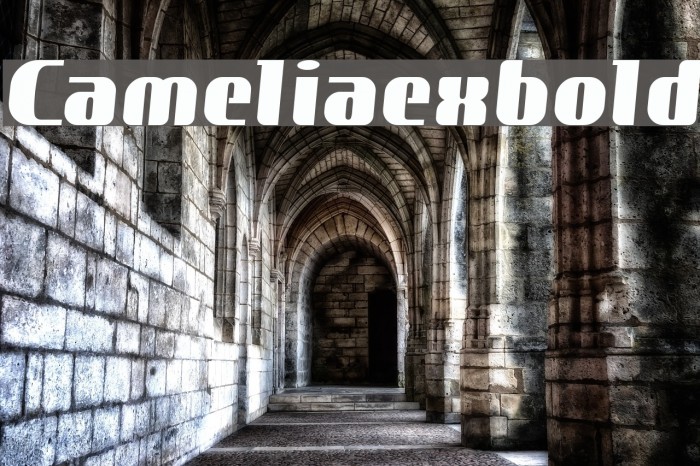 Cameliaexbold Font examples