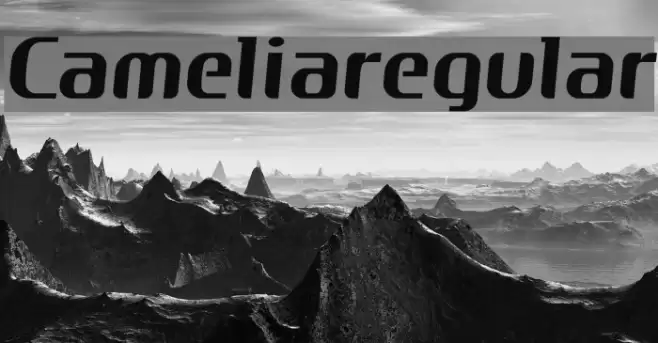 Cameliaregular Polices examples