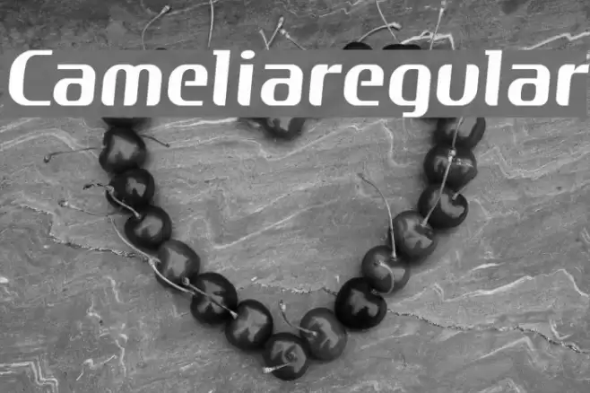 Cameliaregular Polices examples
