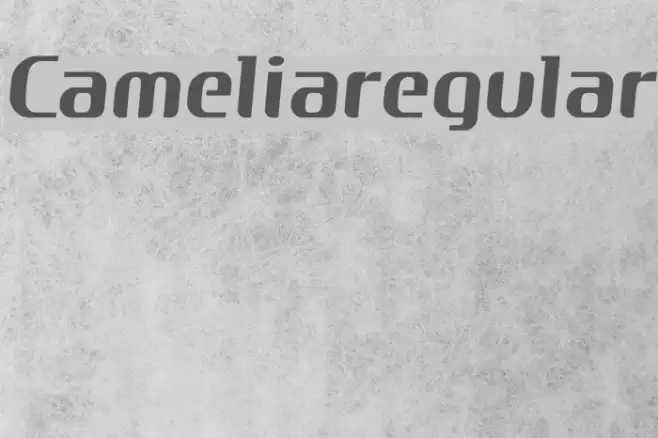 Cameliaregular Polices examples