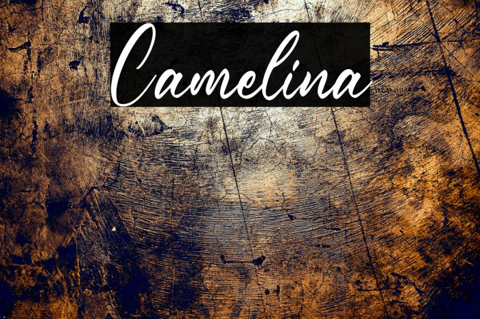 Camelina Example 1