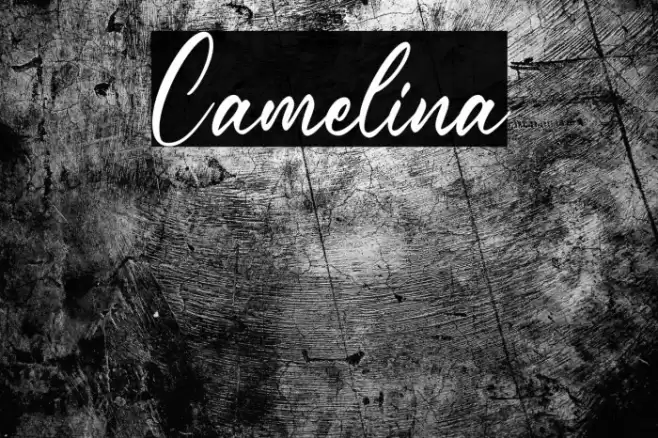 Camelina Font examples