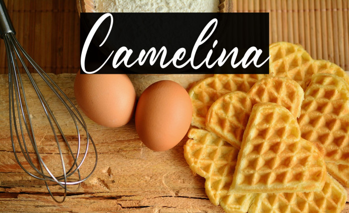 Camelina Example 2