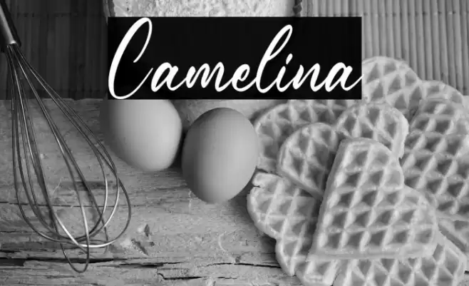 Camelina Font examples