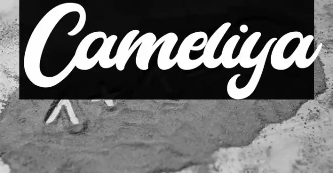 Cameliya Font examples