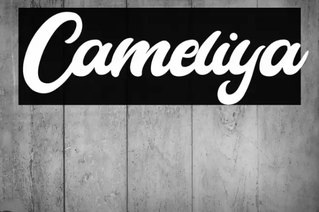 Cameliya Font examples