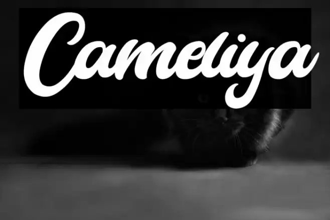Cameliya Font examples