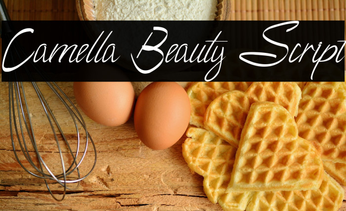 Camella Beauty Script Example 2
