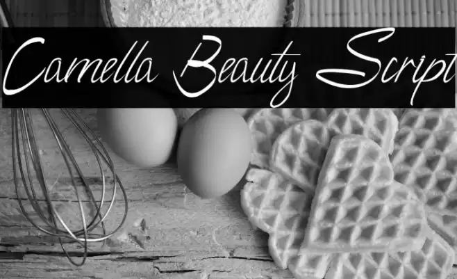 Camella Beauty Script Font examples