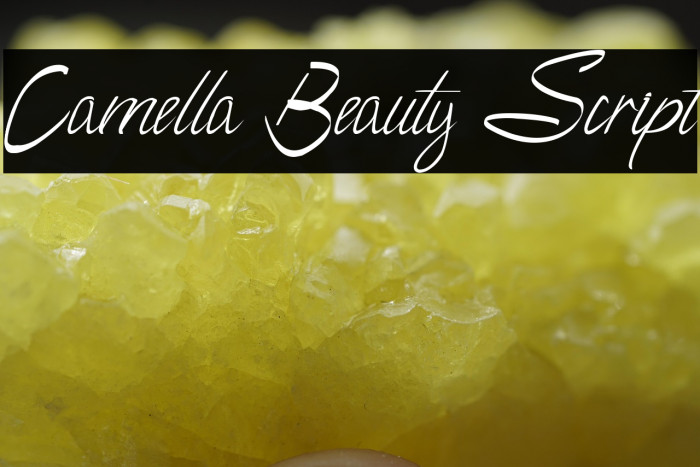 Camella Beauty Script Example 3