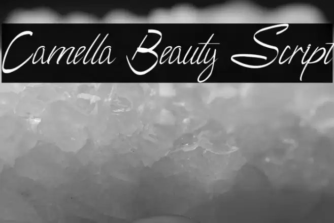 Camella Beauty Script Font examples