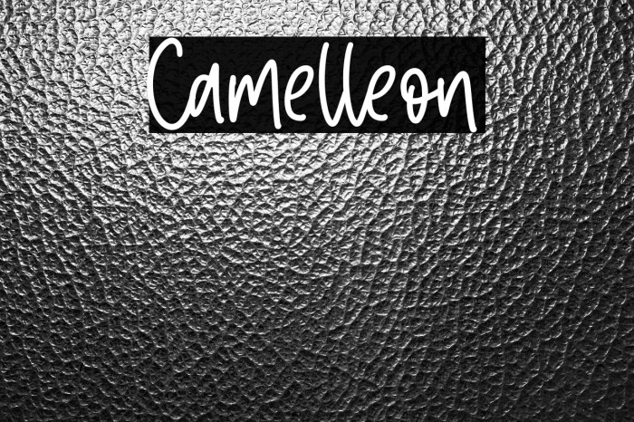 Camelleon Example 1
