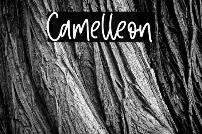 Camelleon Font examples