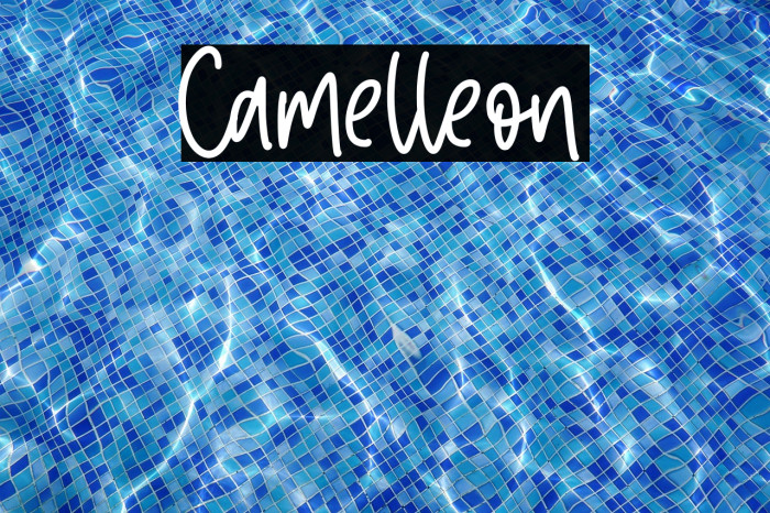 Camelleon Example 3