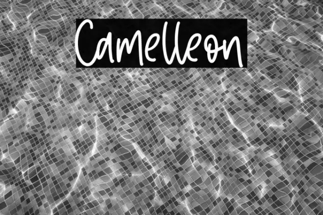 Camelleon Font examples
