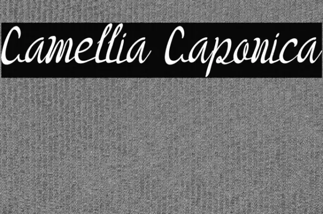 Camellia Caponica Font examples