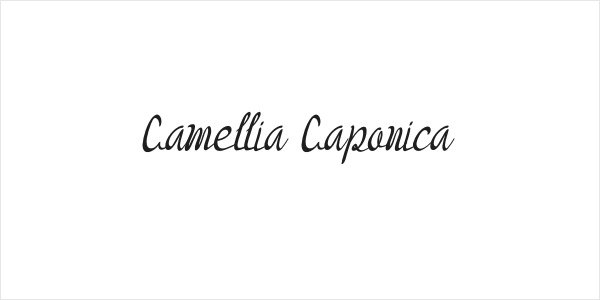 Camellia Caponica Logo