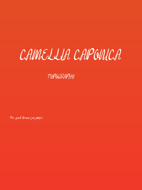 Camellia Caponica Poster
