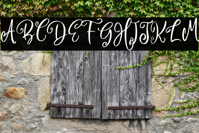 Camellia Personal Use Example 3