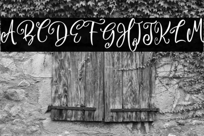 Camellia Personal Use Font examples