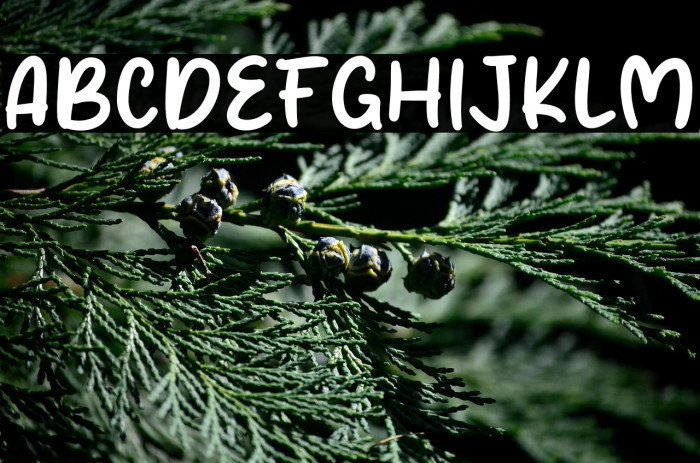 Camellia Shine Example 1