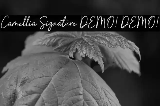 Camellia Signature DEMO! DEMO! 字体 examples