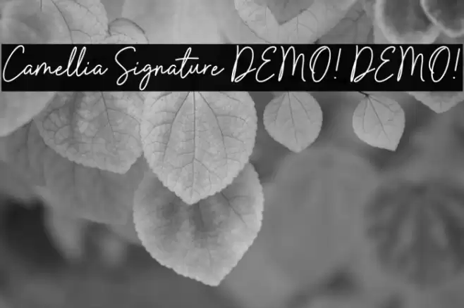 Camellia Signature DEMO! DEMO! 字体 examples