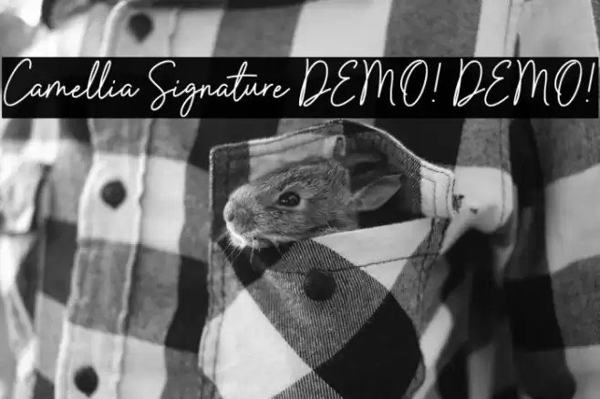 Camellia Signature DEMO! DEMO! 字体 examples