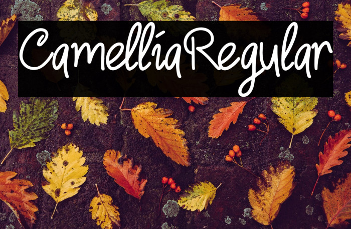 CamelliaRegular Example 1