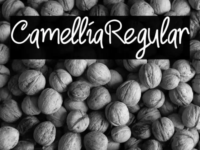 CamelliaRegular Шрифта examples