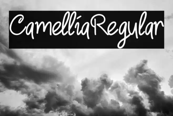 CamelliaRegular Шрифта examples