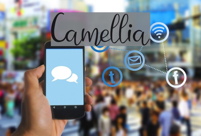 Camellia Font examples