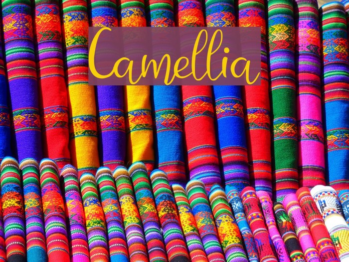 Camellia Font examples