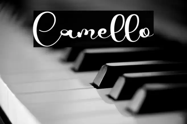 Camello Font examples