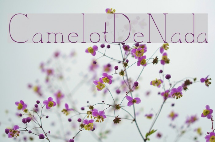 CamelotDeNada Fuentes examples