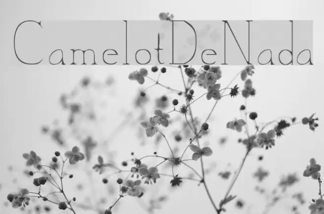 CamelotDeNada Font examples