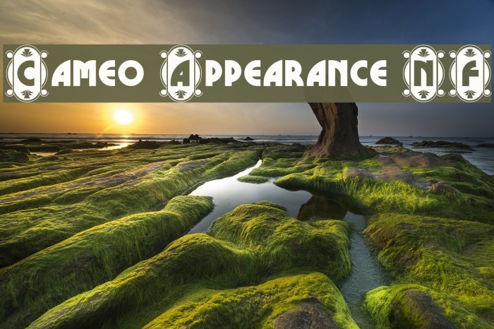 Cameo Appearance NF Font examples