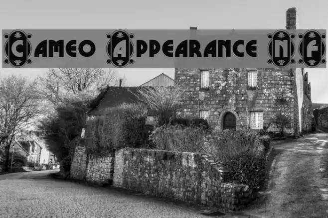 Cameo Appearance NF Font examples