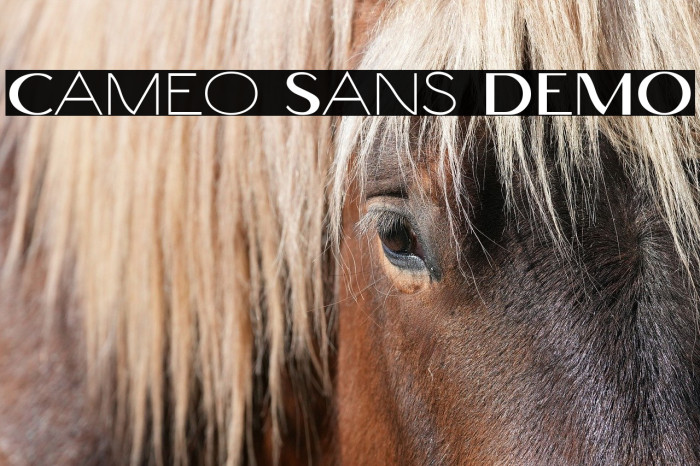 Cameo Sans DEMO Example 1