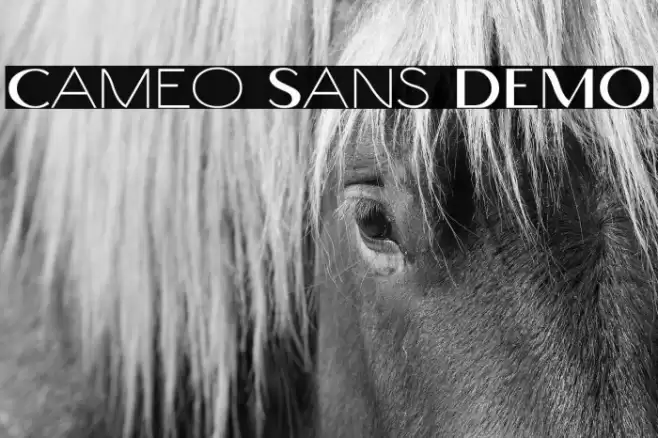 Cameo Sans DEMO خط examples