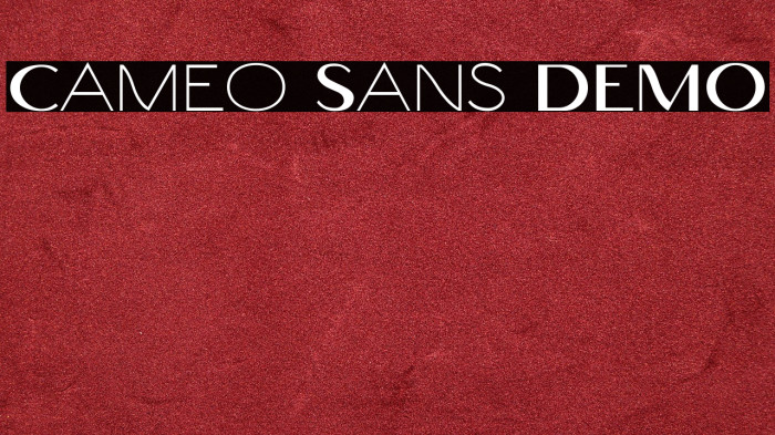 Cameo Sans DEMO Example 2