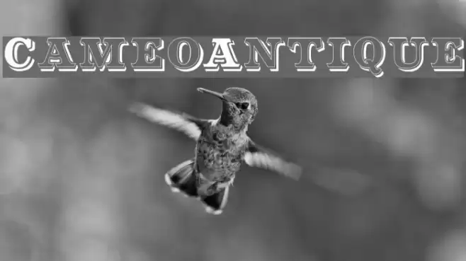 CameoAntique Font examples