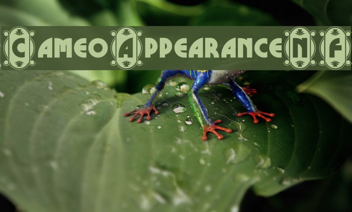 CameoAppearanceNF Font examples